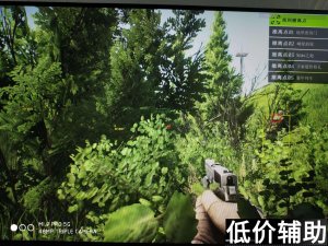 逃离塔科夫GA辅助：人物透