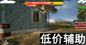 绝地求生辅助-阿巴阿巴 版本LOGO自由定制 零售改名主推首选