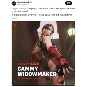 玩家热议《守望先锋》街霸嘉米新皮肤：好看换