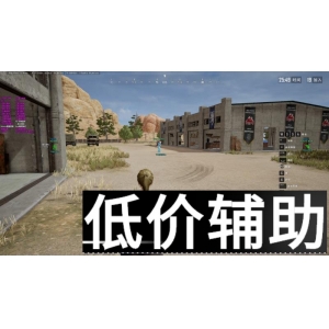 《绝地求生RXD辅助：一键锁头 无后坐力｜2024最新稳定版下载》